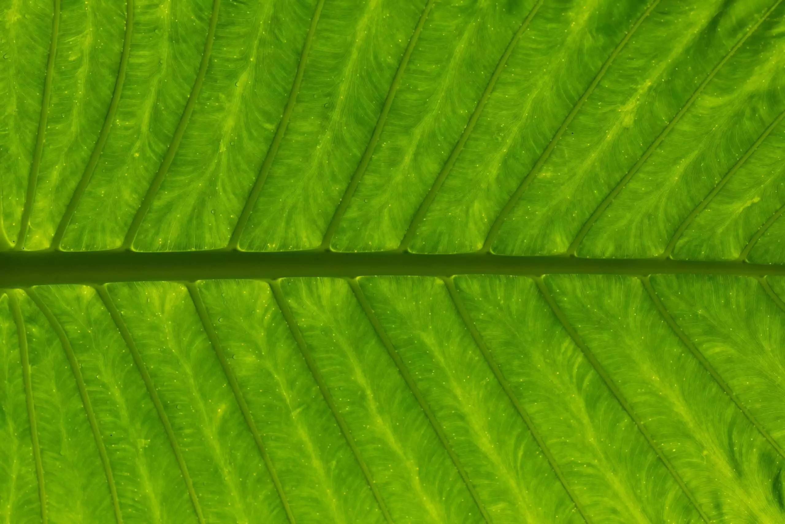 sustainable marketing